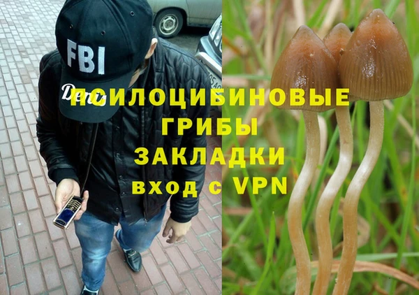 гидропоника Абаза