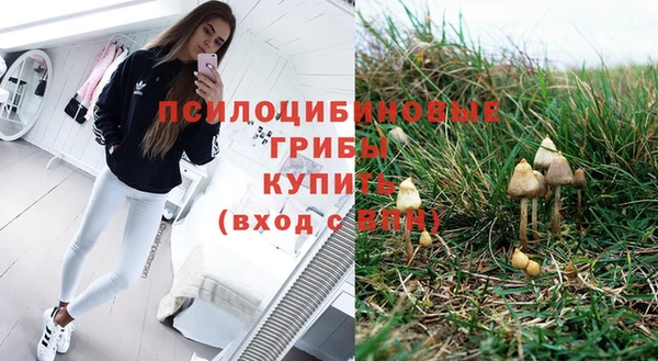 дживик Алексин