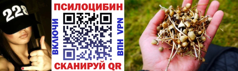 Псилоцибиновые грибы GOLDEN TEACHER  цены   Верхоянск 